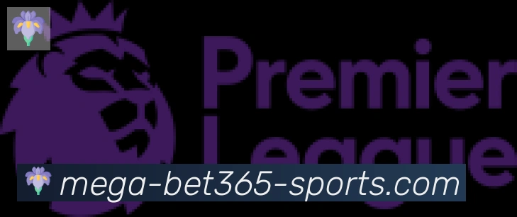 bet365在线体育合作伙伴